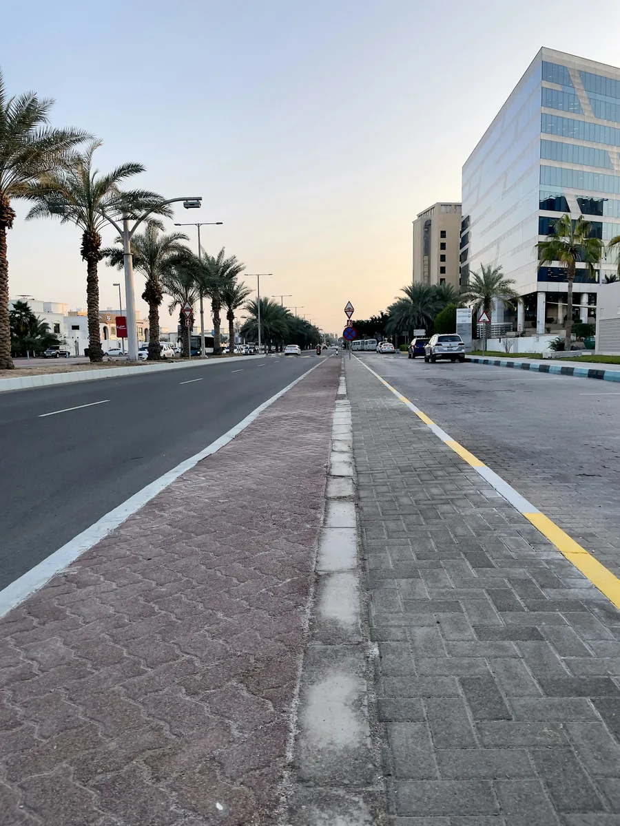 Palm-lined boulevard and office buildings in Abu Dhabi