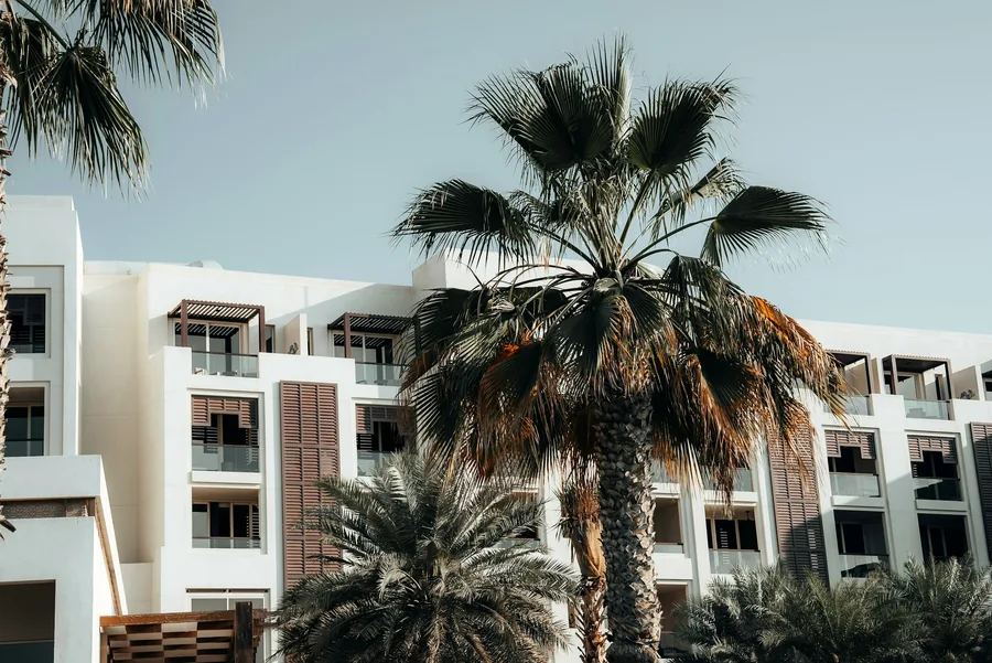 Hotel building and palm trees in Abu Dhabi